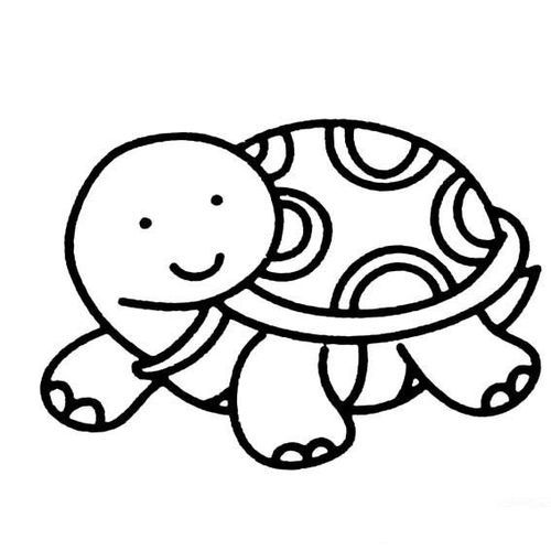 动物简笔画彩色乌龟_兔子和乌龟简笔画?