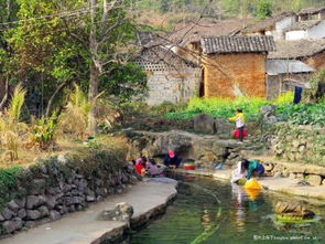 福溪在哪里，福溪家园