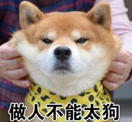 gdx是啥，gdq是什么意思