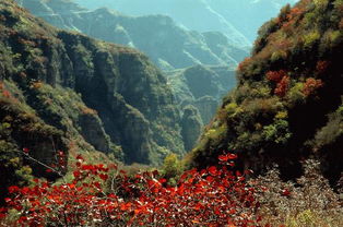 卧龙山风景区在哪里
