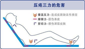 push评分是什么意思