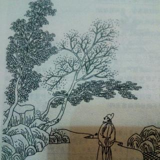 唐代诗人张九龄的诗作《感遇》使用的手法是什么?
