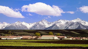 青海长云暗雪山,孤城遥望玉门关是哪首诗