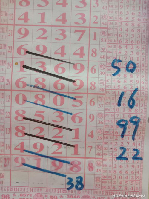 囊字组词，狼字组词和部首