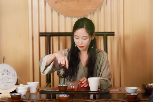 倮倮族，倮罗