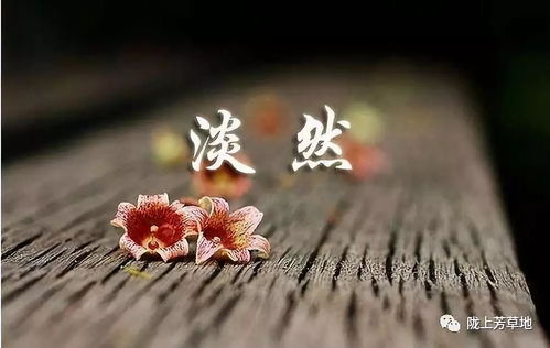 淡然是啥意思