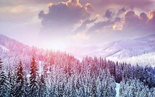 白雪皑皑读音