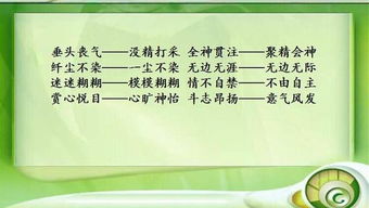 发现的近义词，另外的近义词小众