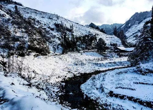 皑皑是什么意思，皑皑白雪 释义