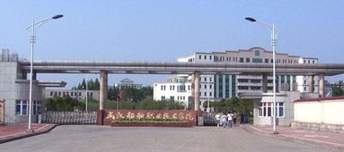 武汉船舶职业技术学院地址英语，武船职业学校官网