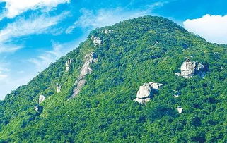 卧龙山公墓详细地址，卧龙山庄二手房