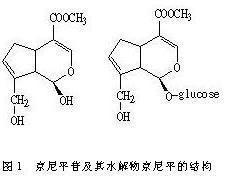 京尼平交联机理，京尼平结构式
