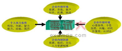 人力资源管理是学什么的?
