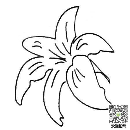 百合花怎么画简笔画又漂亮