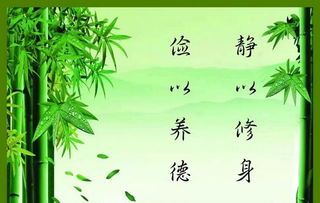 静以修身以的意思是什么?