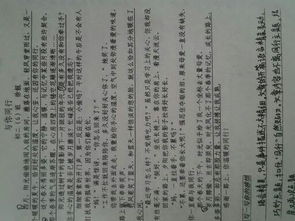 那一次我真感动500字作文母爱，那一次我真感动500字左右