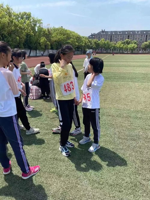 记一次运动会的作文，记一次运动会300字