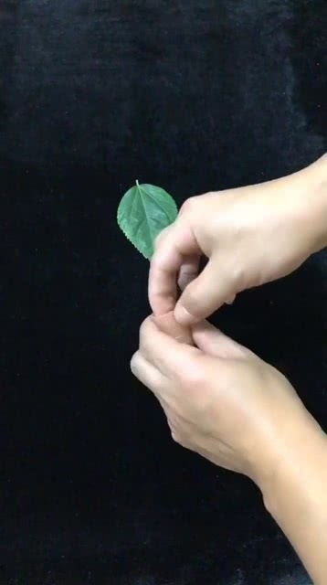 术的拼音怎么写