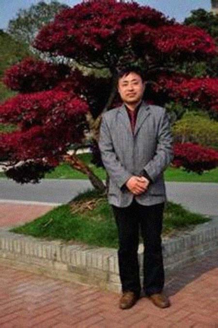 渭南秦正阳光城楼盘地址在哪里?