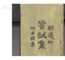 尝试集出版于哪一年，尝试集是谁的作品