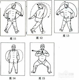 腰胯是什么意思?
