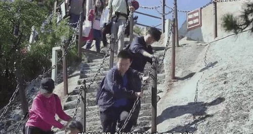 一担挑是什么关系，陆毅和谁是一担挑