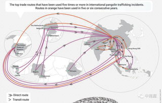 trafficking in persons，trafficking怎么读