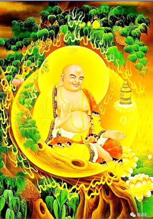 毗昙的介绍