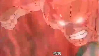 不失时机是成语吗，雨后天空出现彩虹,教师不失时机