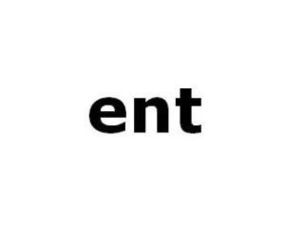 entj，enter