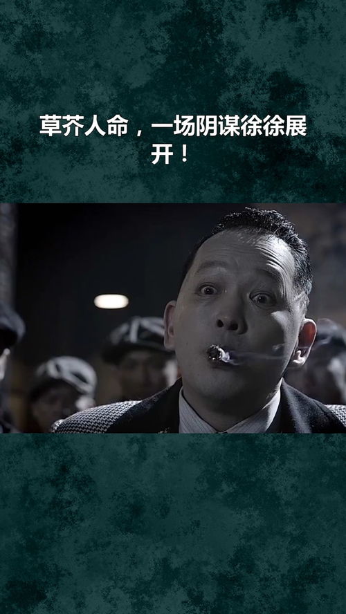 草芥人命的意思