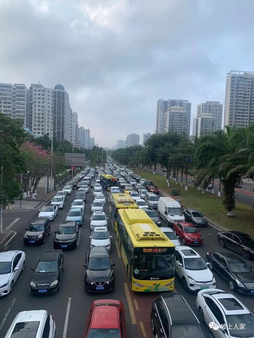 是犹欲登山者,涉舟航而觅路是什么意思