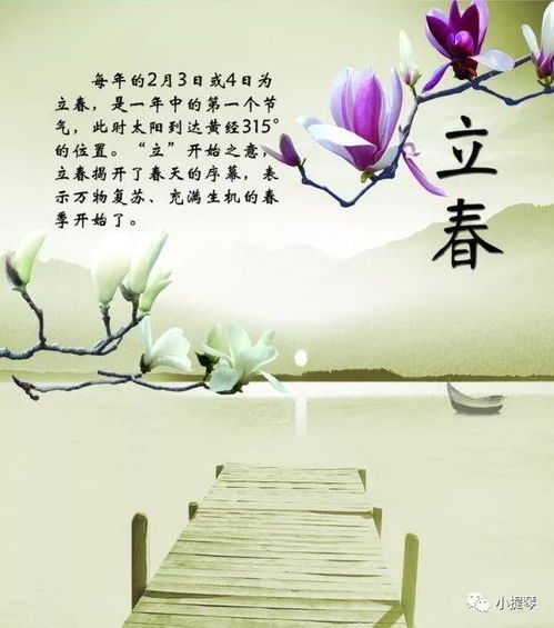 你别来我无恙小说，你别来我无恙冉冉