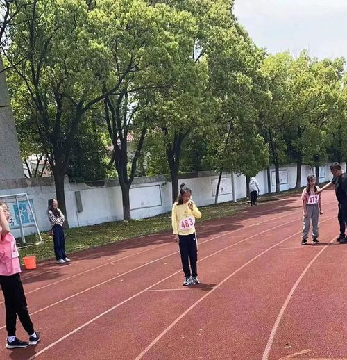 记一次精彩的运动会作文500字五年级精选