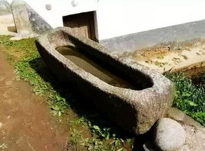 筛糠图片，抖得像筛糠