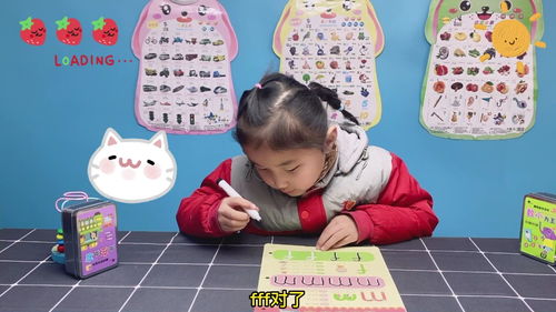 雅拼音怎么写，稚拼音