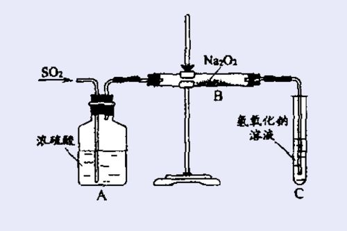 过氧化钠和二氧化硫反应生成什么，过氧化钠和二氧化硫反应转移电子