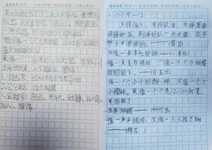 二年级秋天作文