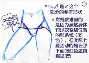 腰胯的拼音怎么读音，腰胯的读音