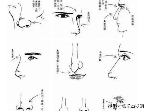 术士，术是多音字吗