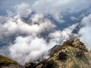高山之巅小说，高山之巅拼音