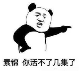 见怪不怪是什么意思 见怪不怪的意思