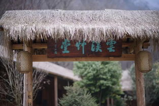 山居岁月茶叶，山居岁月适合几年级阅读