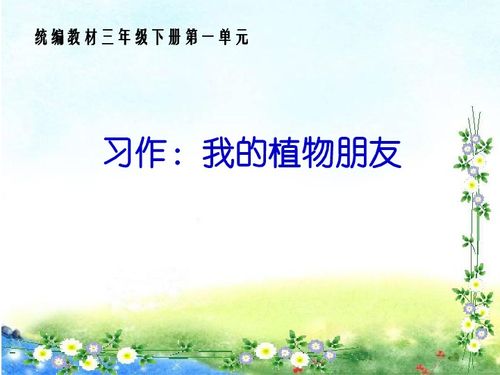 部编版小学三年级下册语文《花钟》课件【三篇】