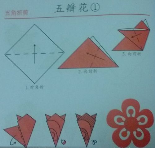 剪纸五瓣花步骤图解
