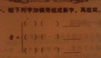 者字的偏旁,是什么