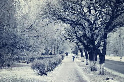 张玉华的《雪花飘》 歌词