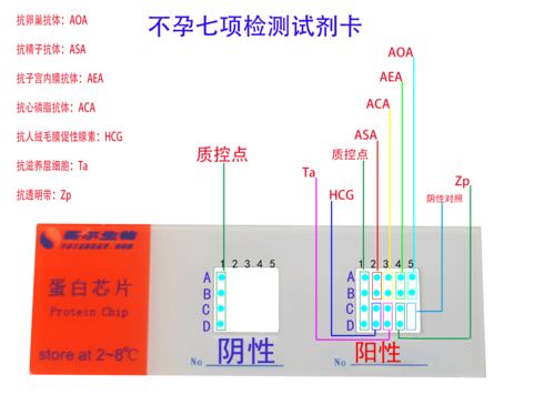 屏障的意思-屏障造句