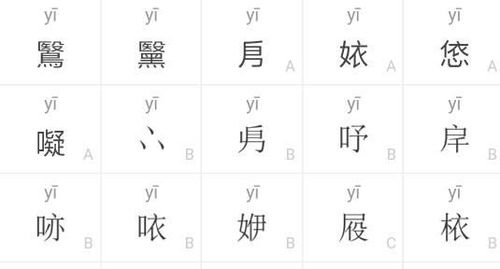 鲜的拼音是什么?