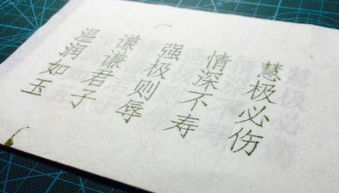 情深不寿什么意思